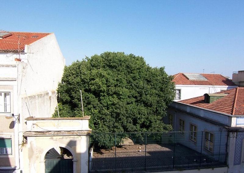 Apartamento Bela Vista - Altstadt